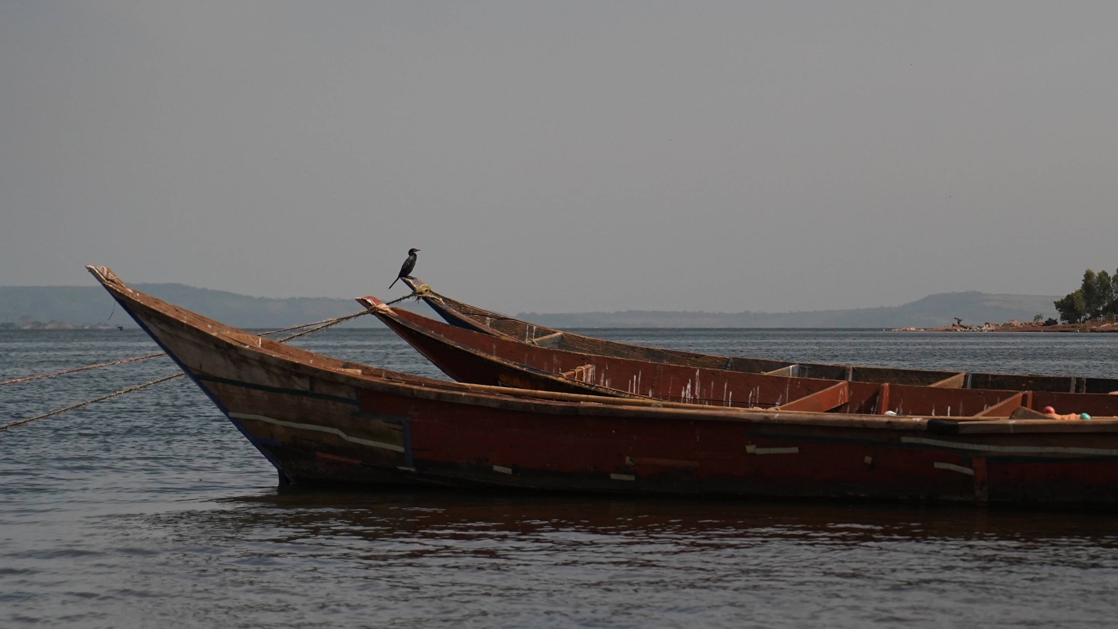Fishing boats. Lake Victoria. Photo: Caspar Haarløv