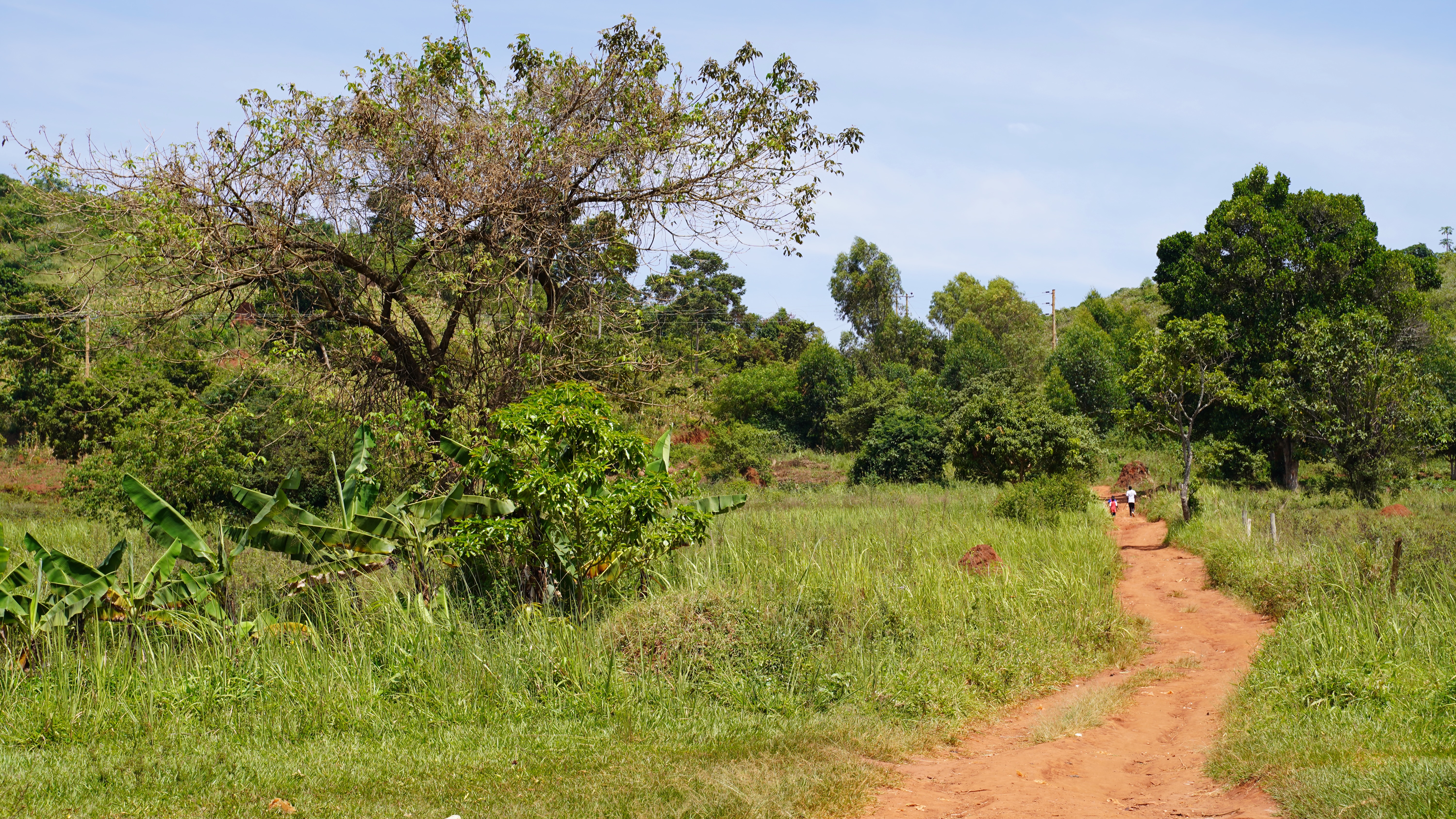 A country road in the Buikwe District, Uganda. Photo: Caspar Haarløv