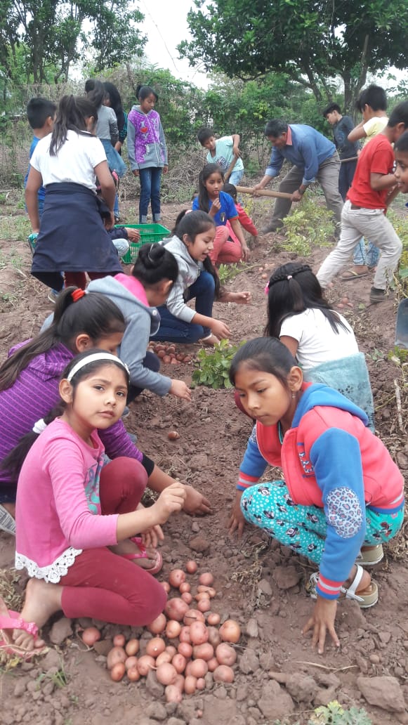 Students working in the school garden. May 27 School; Puesto García community; Villa Montes municipality; Quechua region.